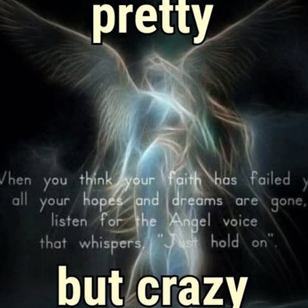 Meet your Posher, Sandy